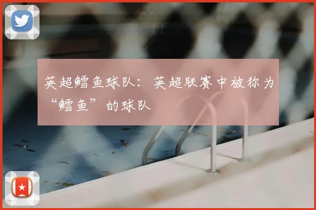 英超鳕鱼球队:英超联赛中被称为“鳕鱼”的球队